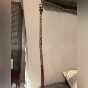 Real Rattlesnake Belt